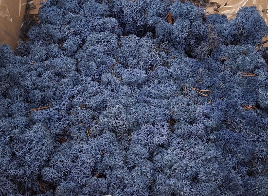 Скандинавски мъх 