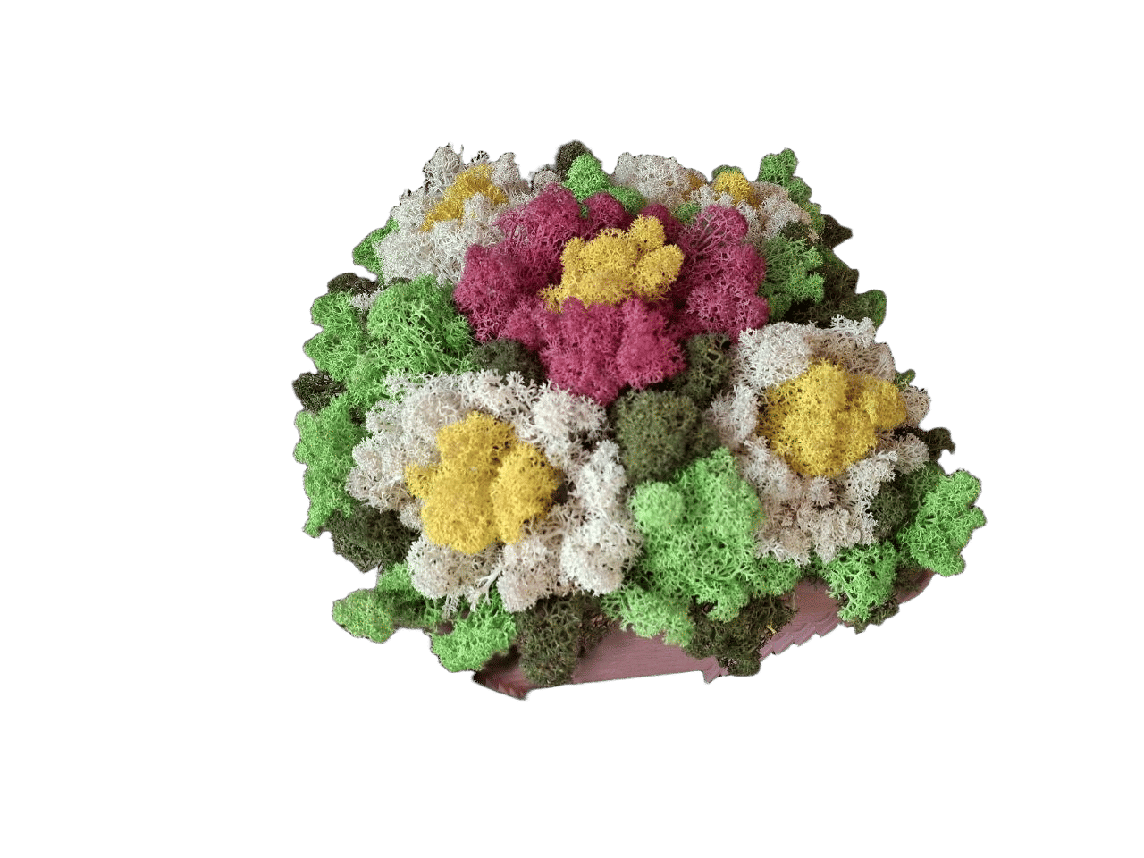 Pots and pots with Nordic moss