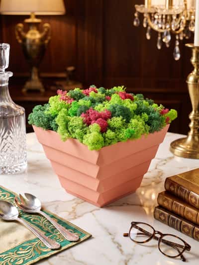 flowerpot
