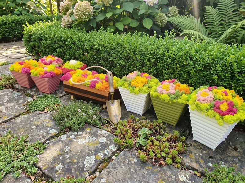Collection of Planters and Boxes