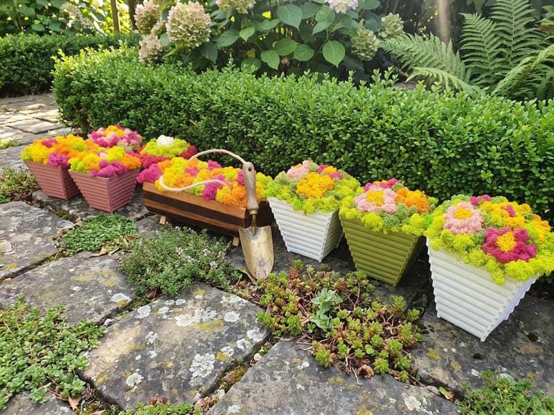 Collection of boxes and chests