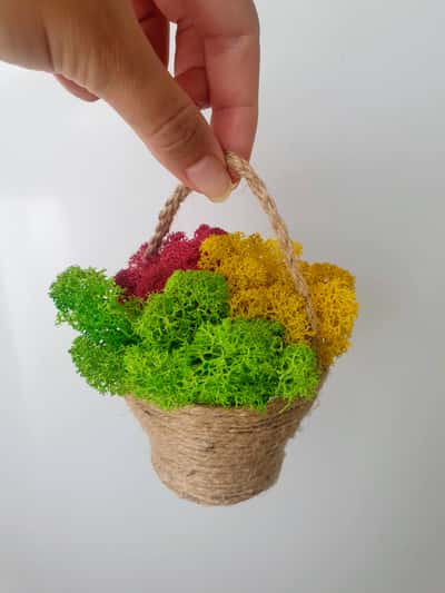 Basket