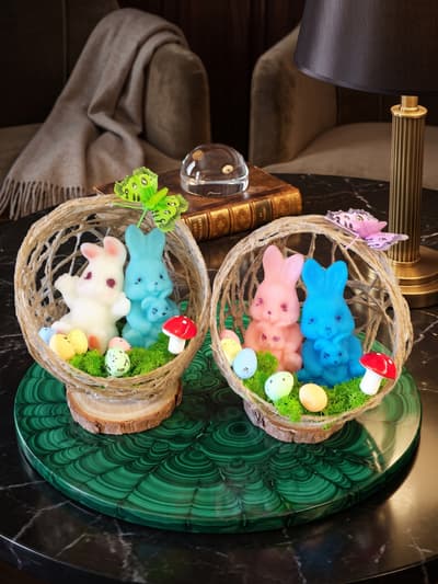 Bird nest with bunnies