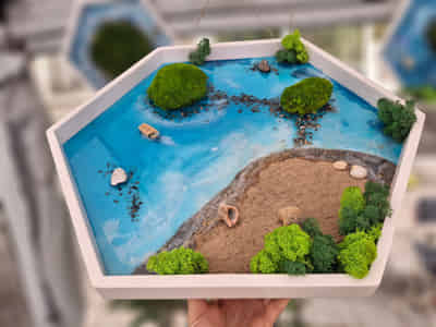 Island Paradise 1