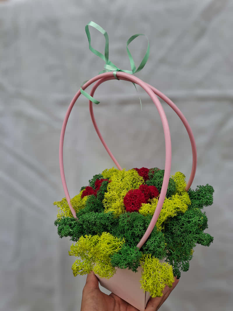 Summer Basket
