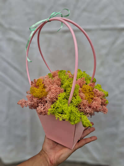 Spring Basket