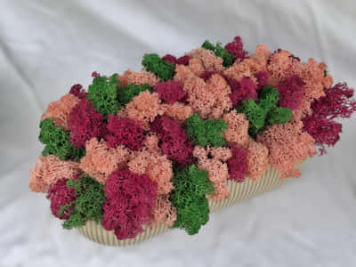 Flower bed