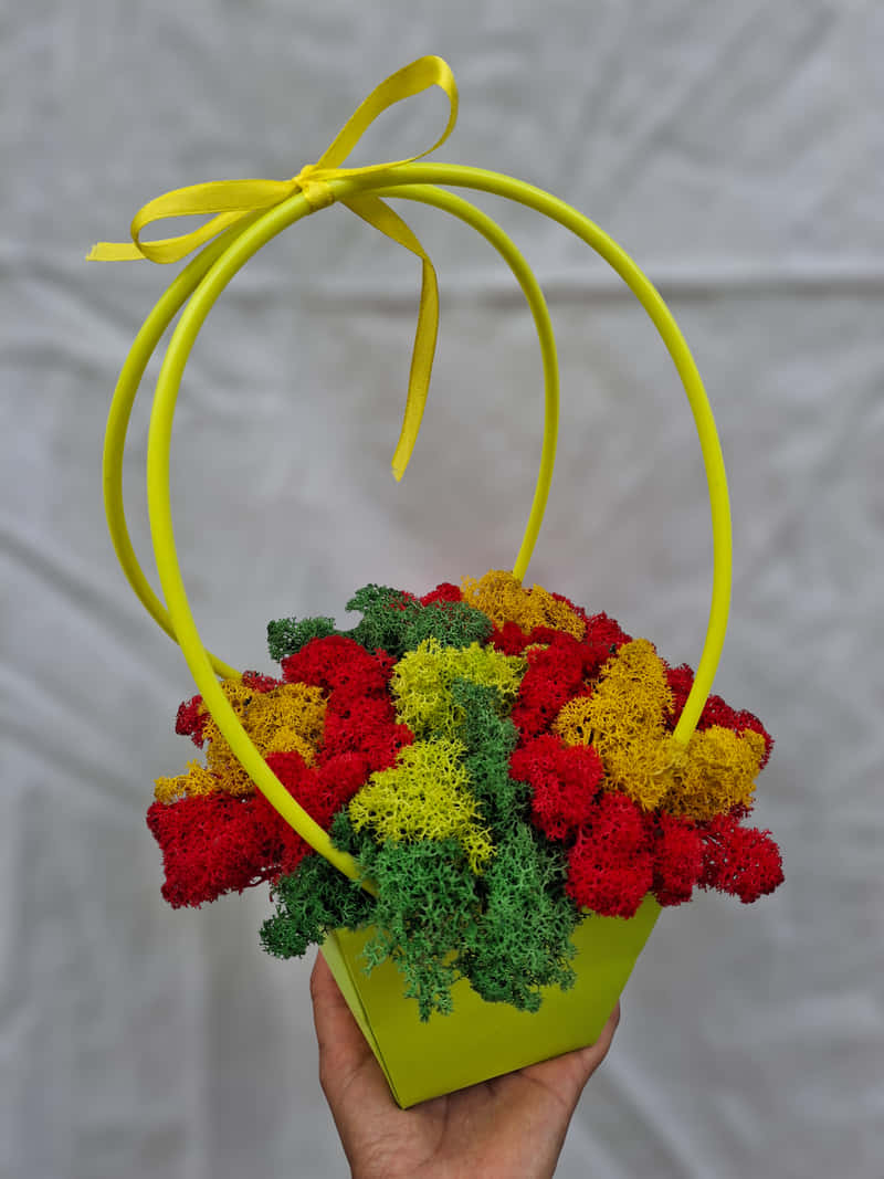 Green Basket