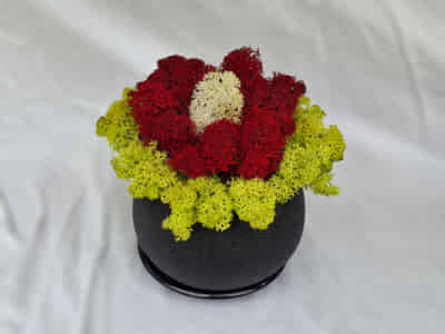 Moss Planter 