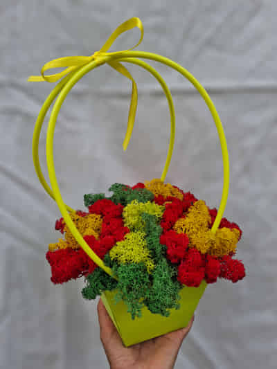 Moss Basket